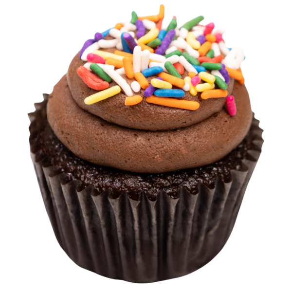 Chocolate Chocolate Cupcake with Rainbow Sprinkles