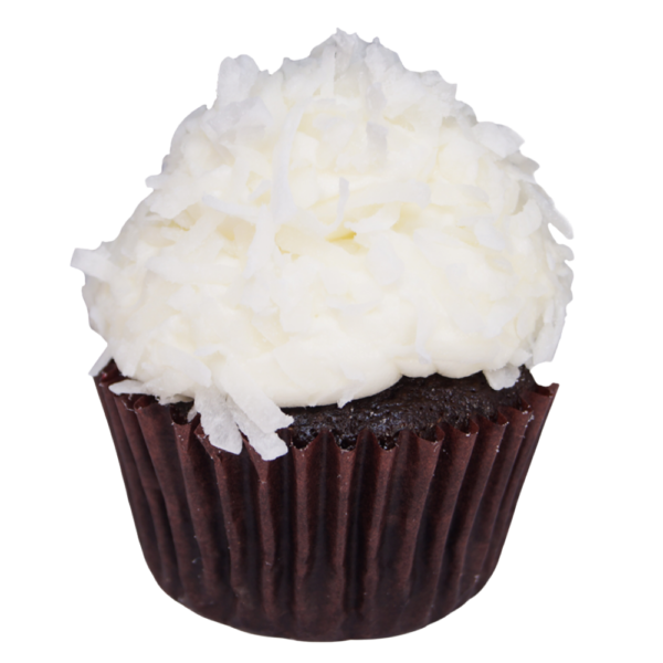 Chocolate Coconut Cupcake