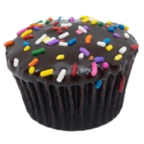 Chocolate Ganache Cupcake