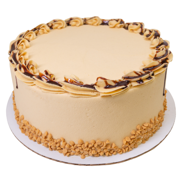 Chocolate Peanut Butter Cake