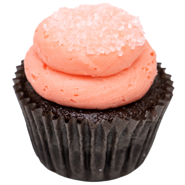Chocolate Raspberry Cupcake