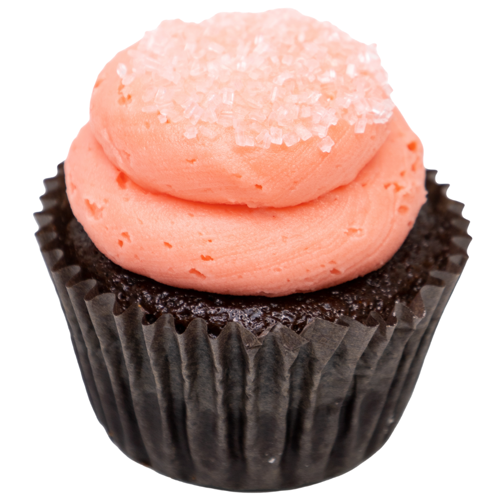 Chocolate Raspberry Cupcake