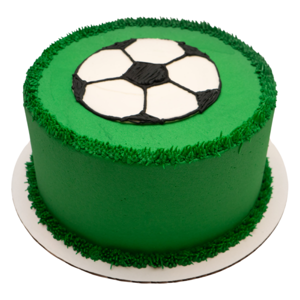 Soccer Ball Cake