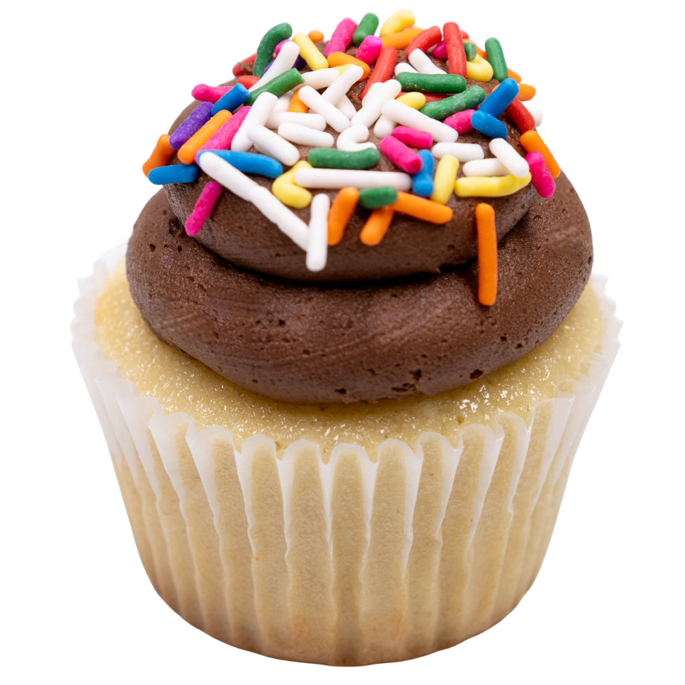 Vanilla Chocolate Cupcake with Rainbow Sprinkles