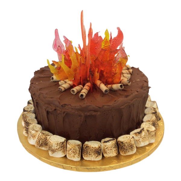 Campfire S’mores Cake