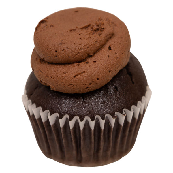 Gluten Free Chocolate Chocolate Cupcake