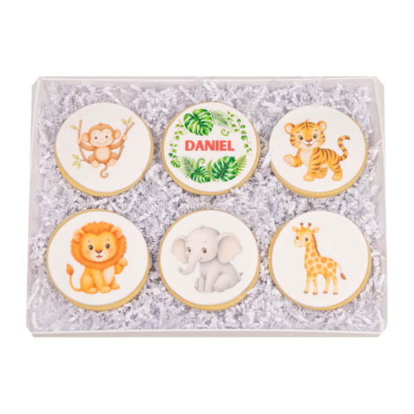 Complete open Jungle Animal Cookie Gift Box with six sugar cookies on a transparent background